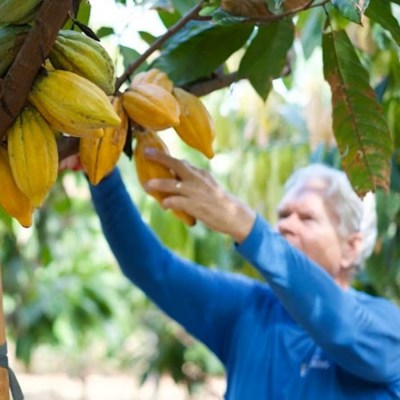 a person holding a banana tree