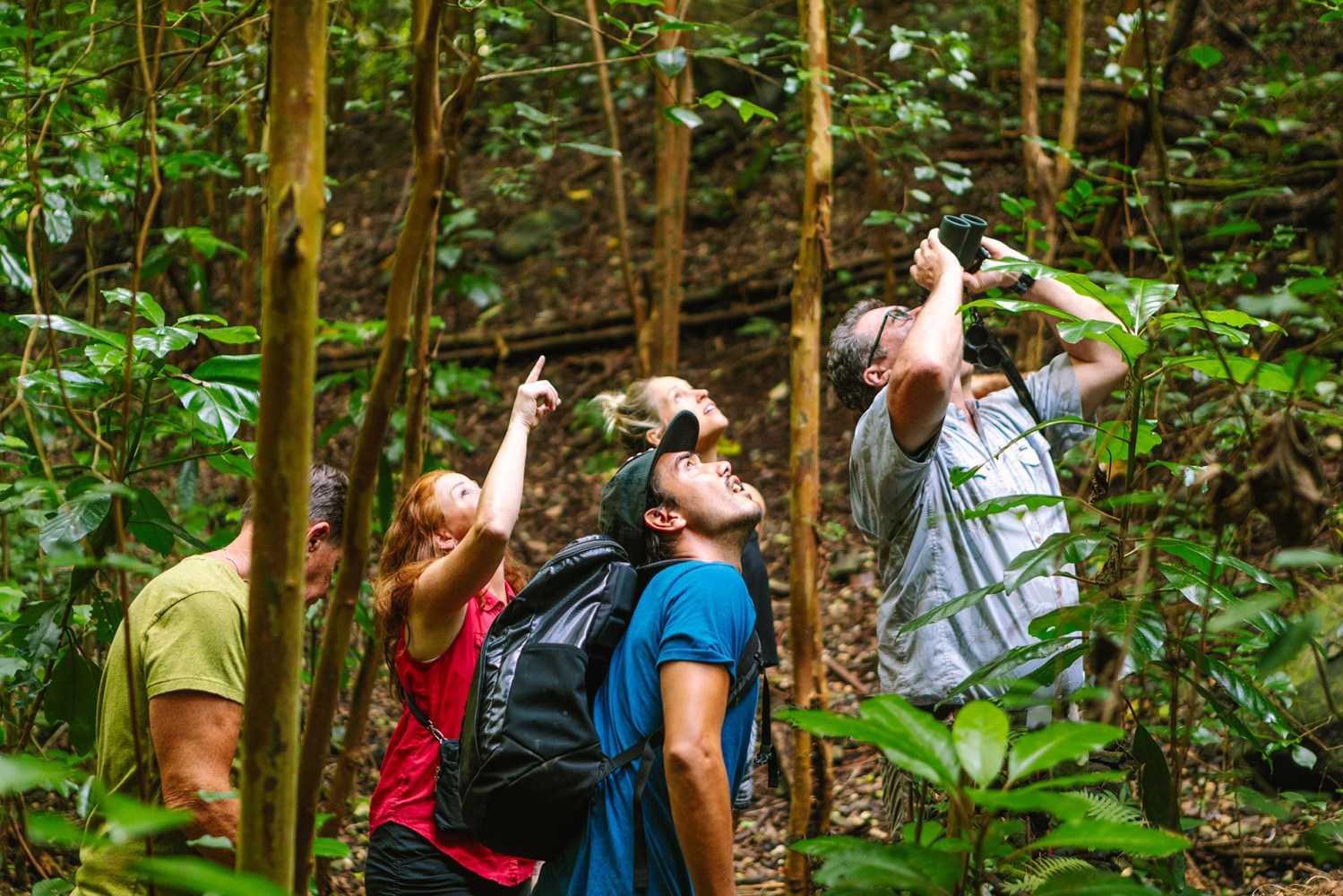 a group of people in a forest