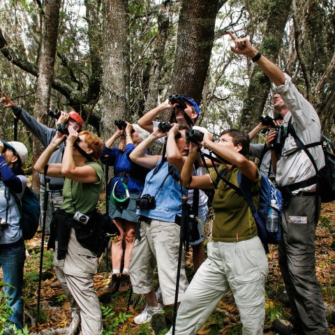 HFT - Hakalau Experience - Birdwatchers