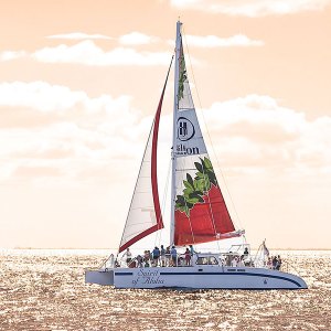Hawaii Nautical - Sanset sail