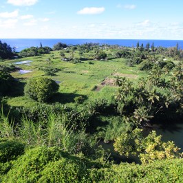 a large green landscape with a body of water