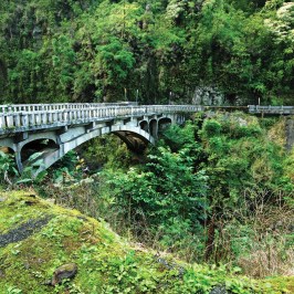 a train crossing a bridge over a river with a lush green forest