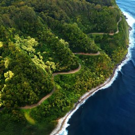 a body of water surrounded by trees