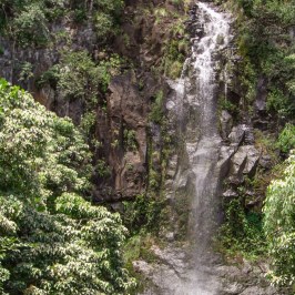 a large waterfall in a forest
