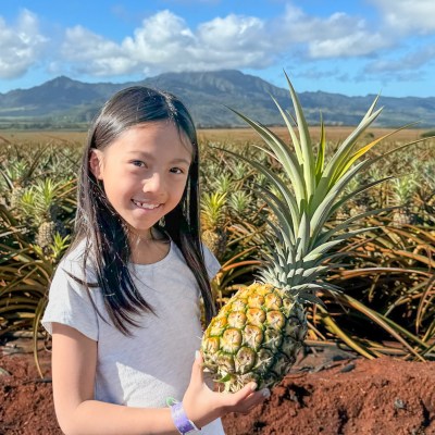 a person holding a pineapple in front of a mountain