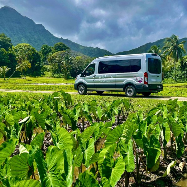 a green car parked on the side of a mountain