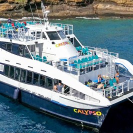 a large boat in a body of water