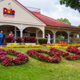 a colorful flower garden in front of a building
