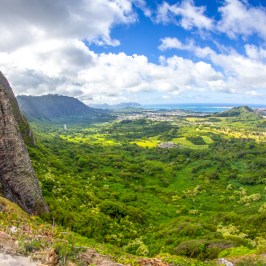 a view of a lush green hillside
