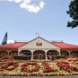 Dole Plantation