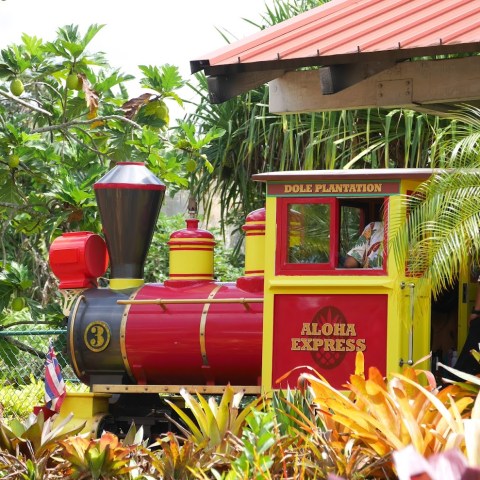 a train on display in a garden