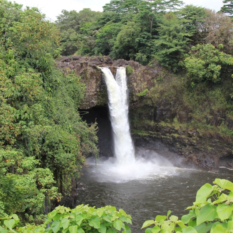 a large waterfall in a forest