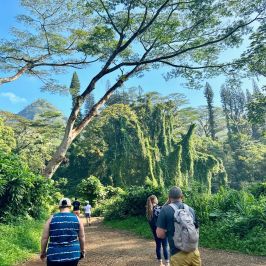 a group of people standing next to a tree