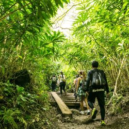 a person sitting on a bench next to a tree