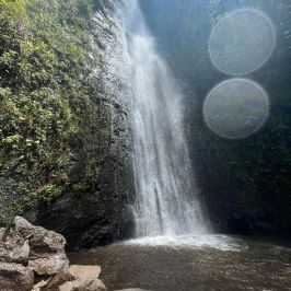 a waterfall with trees in the background