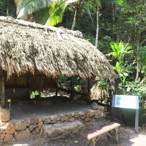 a bird sitting on a bench in a garden