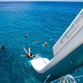 a group of people swimming in the water