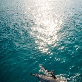 a small boat in a body of water