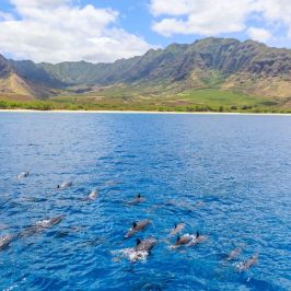 a large body of water with a mountain in the background