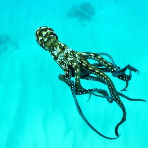 a close up of some water