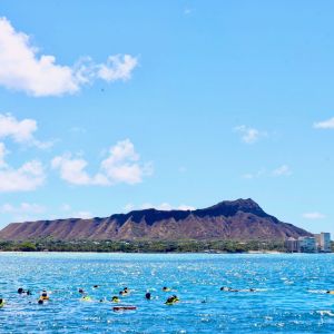 a group of people swimming in a body of water