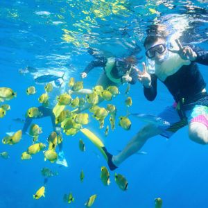 a group of people swimming in the water
