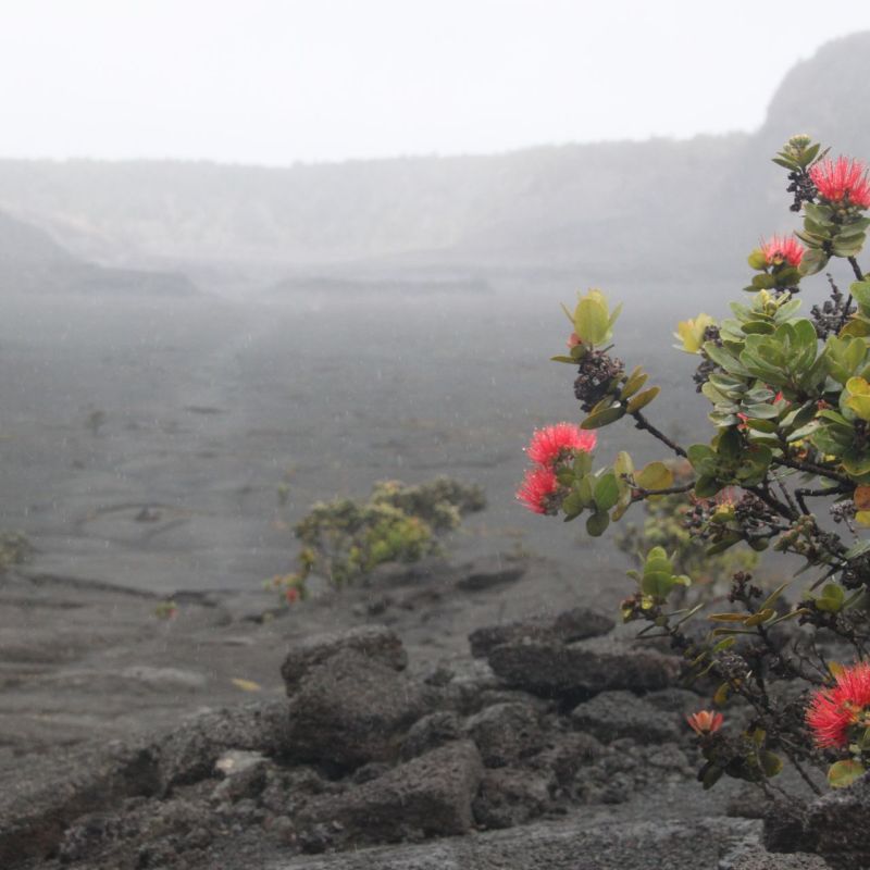 a vase of flowers sitting on top of a mountain