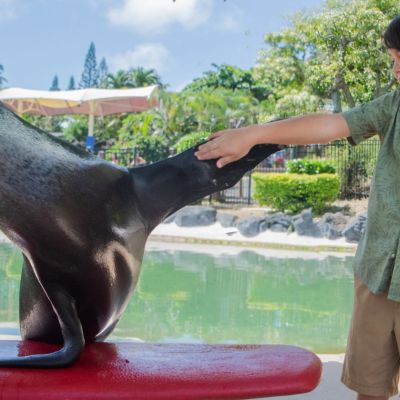 a man standing in front of a seal