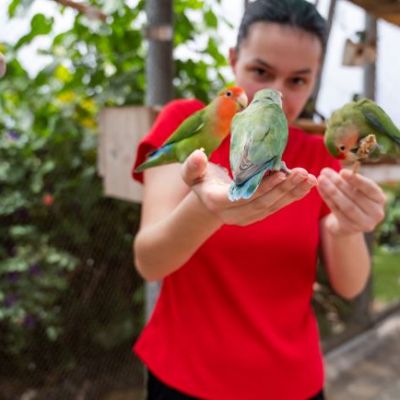 a little boy that is eating some food