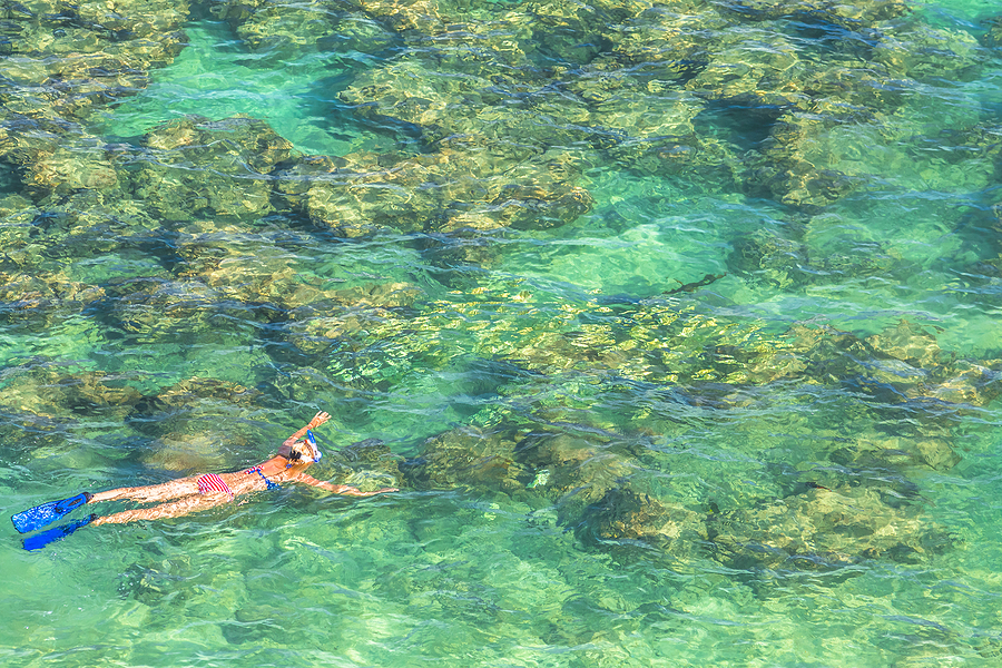 hanauma bay snorkeling