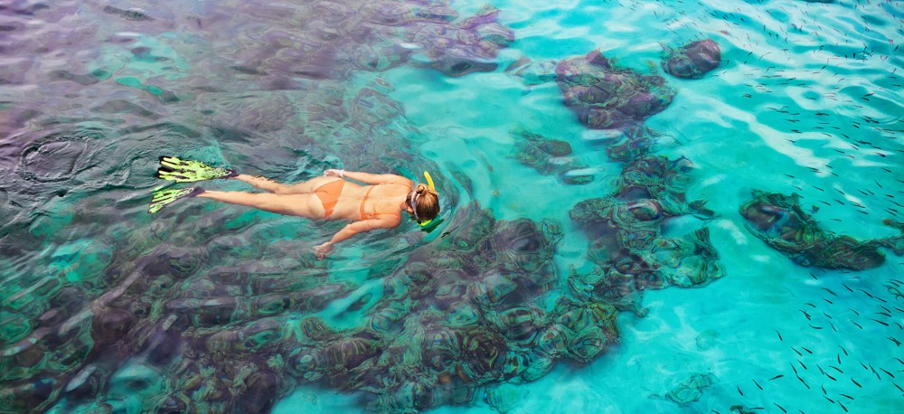 hanauma bay snorkeling