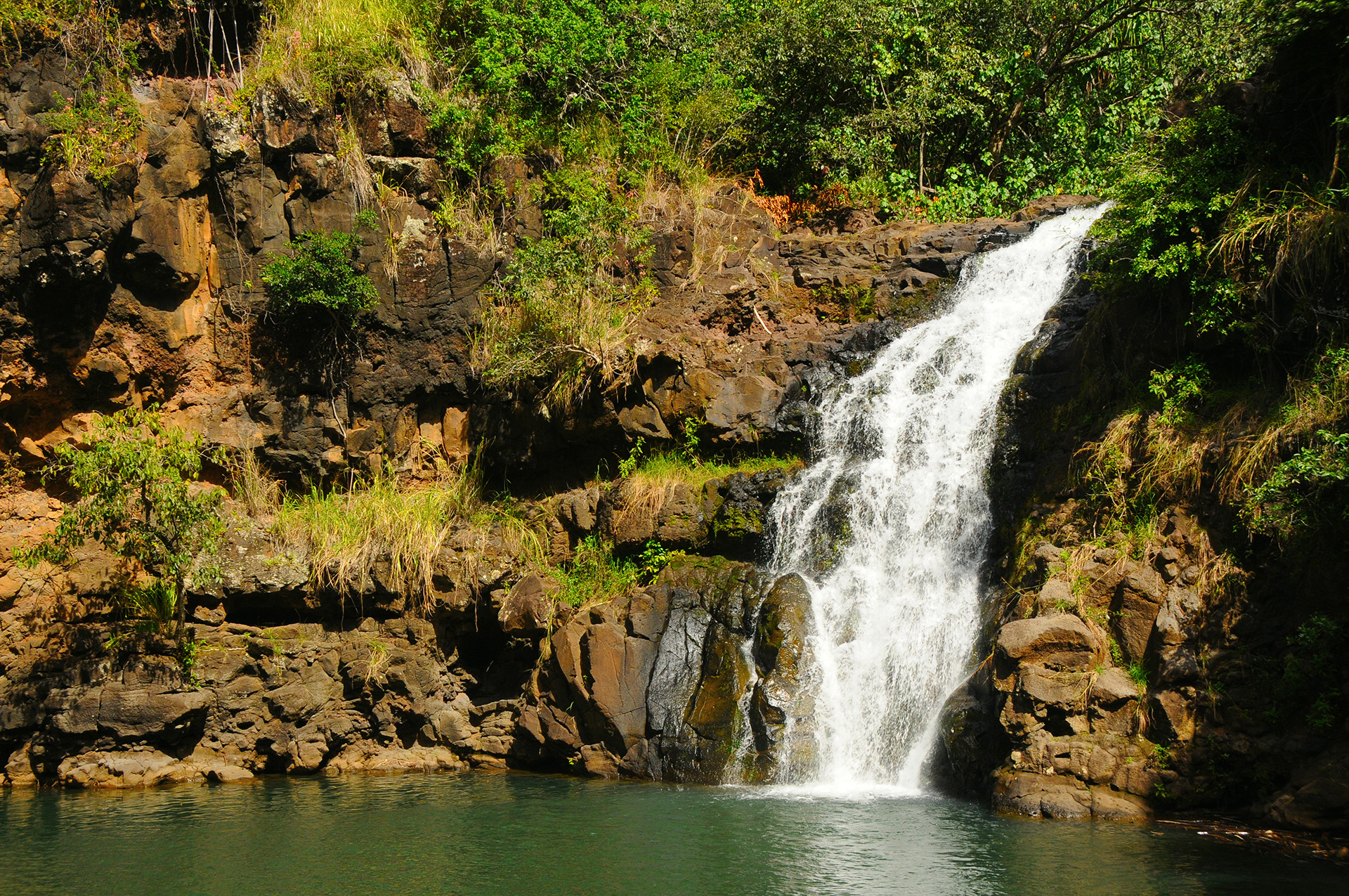 Waimea Falls Oahu
