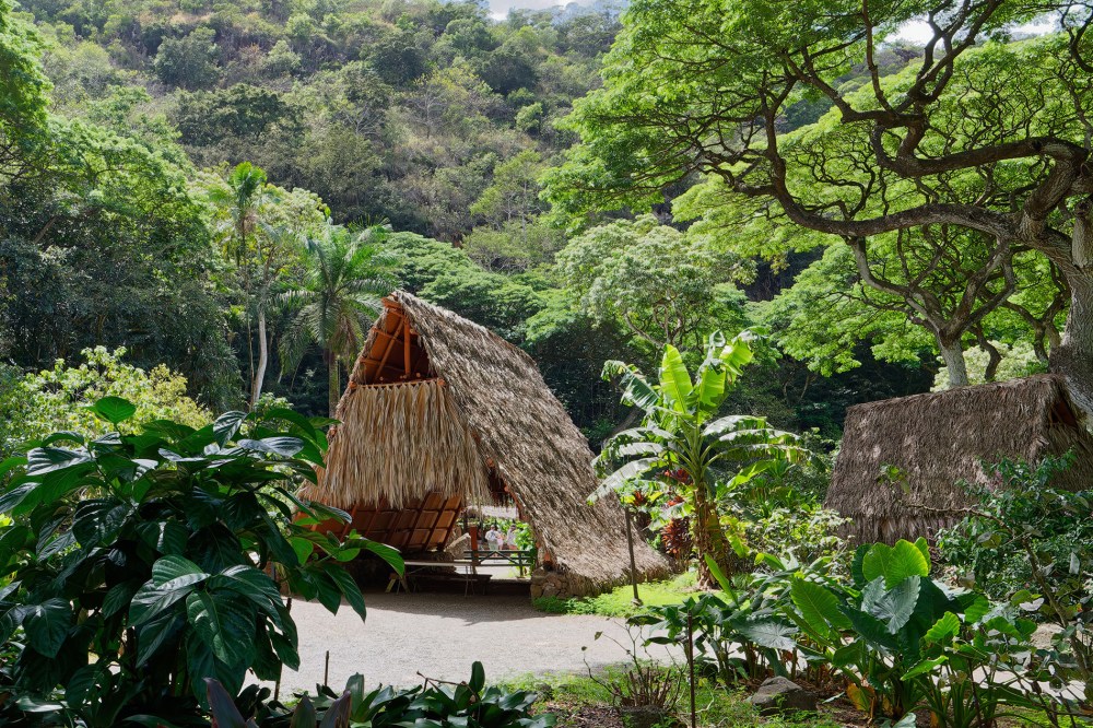 Waimea Valley Oahu