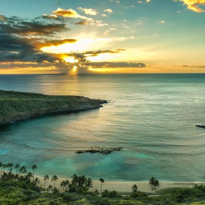 Sunrise over a coastal bay with palm trees and distant hills.