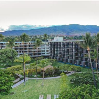 Hotel complex with palm trees and mountains in the background.