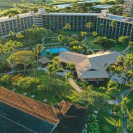 Aerial view of a resort with a pool, surrounded by palm trees and greenery.
