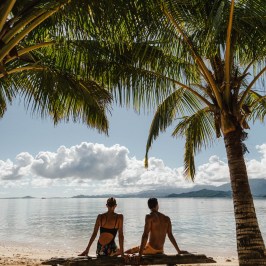 Two people sit on a log under palm trees by a beach, facing the ocean under a clear sky.