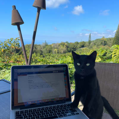 Black cat sitting by a laptop on a patio, with a scenic garden view in the background.