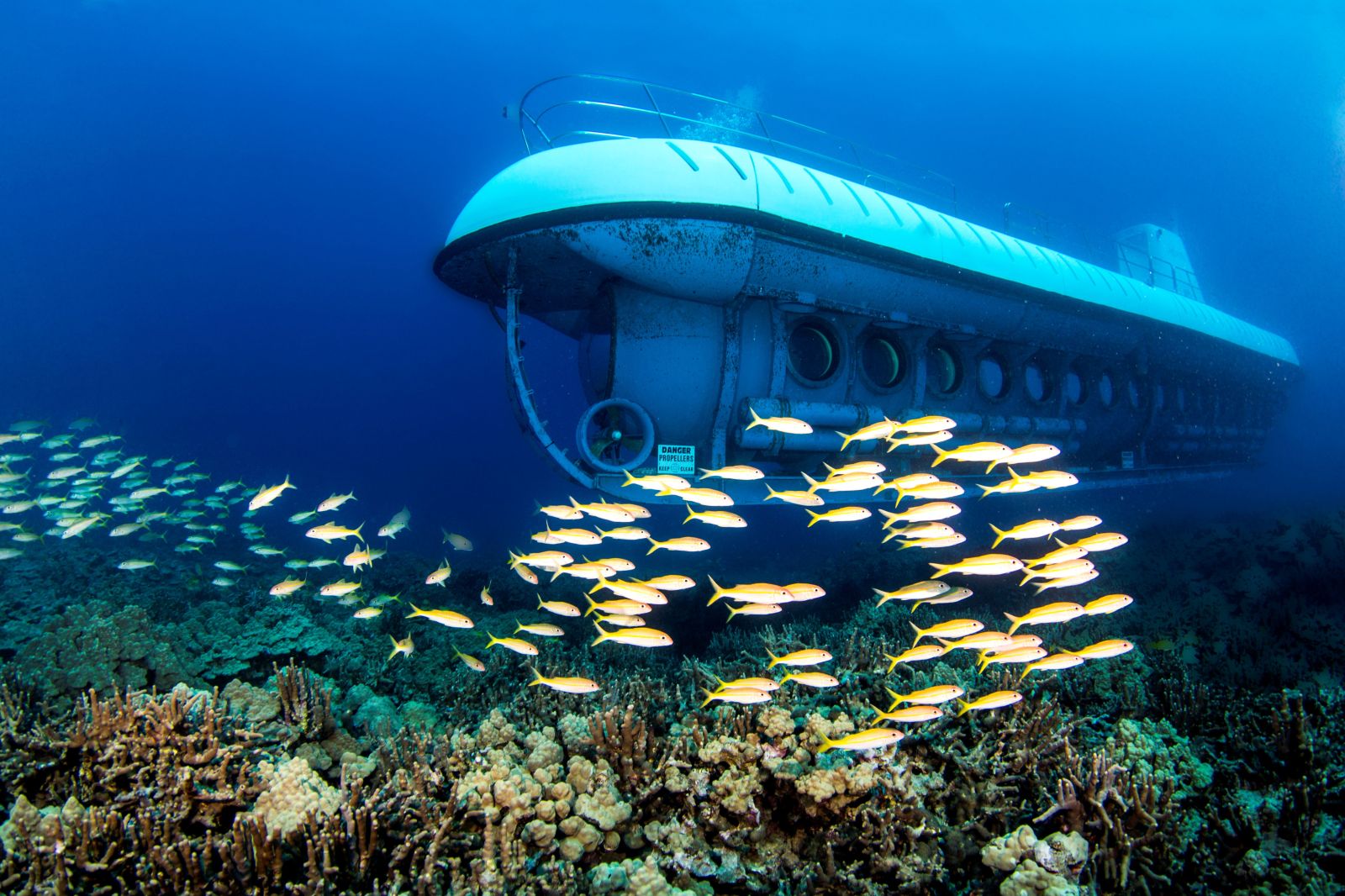 Submarine underwater with a school of fish swimming nearby over a coral reef.