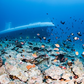 Submarine underwater near coral reef with colorful fish swimming.