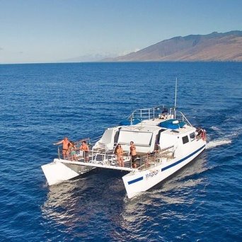 Catamaran with people sailing on the ocean near a mountain.