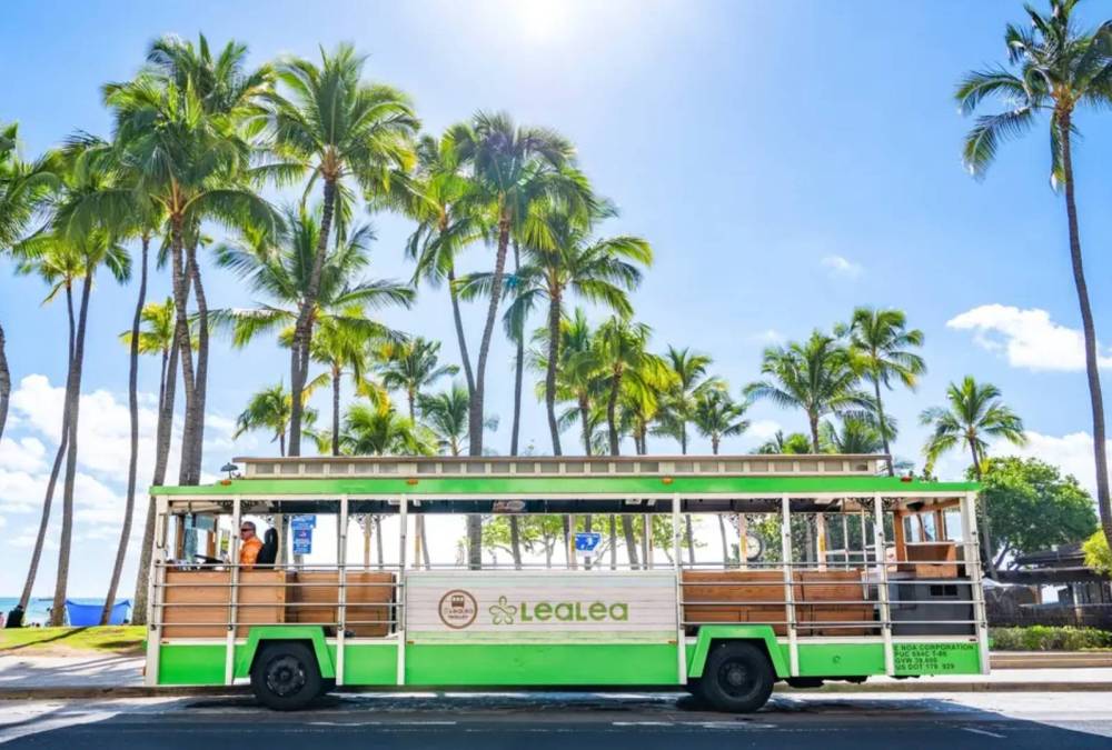 Green open-air bus parked under palm trees on a sunny day.