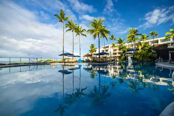 Hotel pool with palm trees and umbrellas under a blue sky.