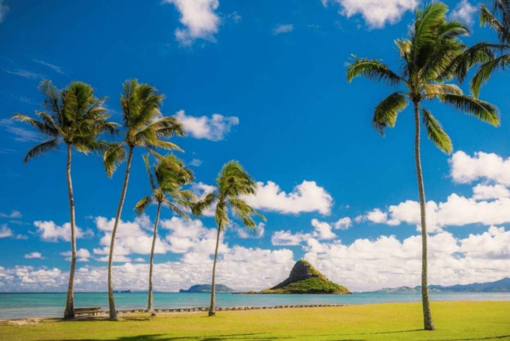 Tropical beach scene with palm trees and an island under a blue sky.