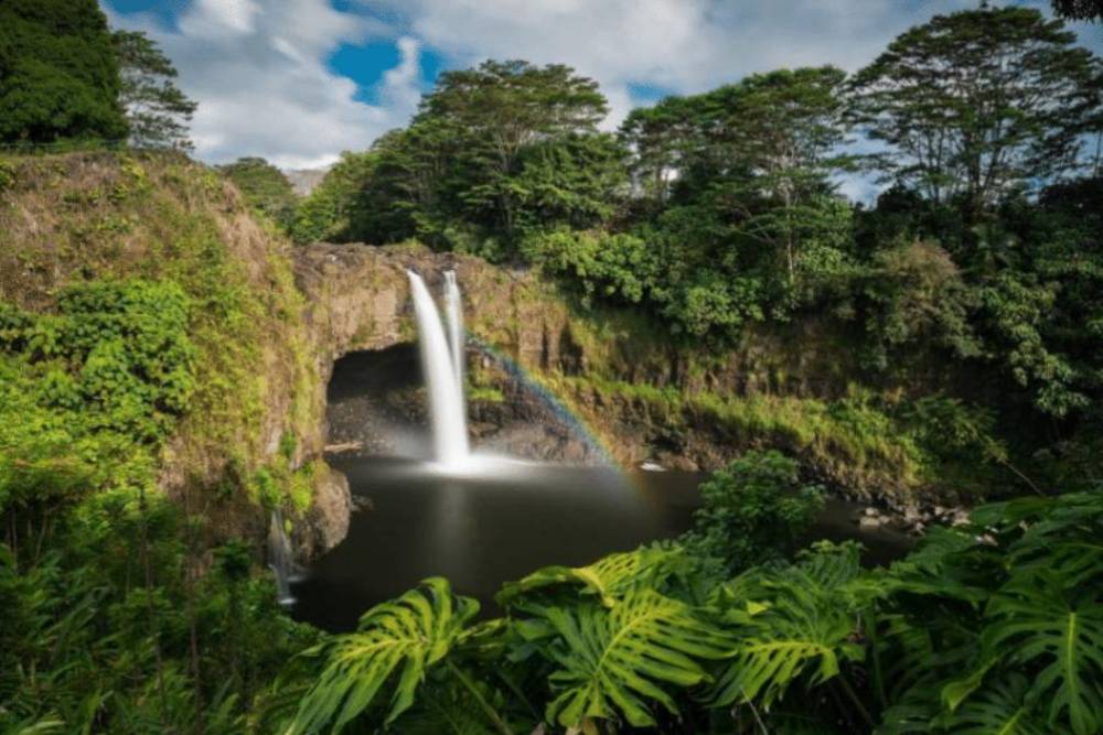 Waterfall cascading into a pond with surrounding lush greenery and a small rainbow.