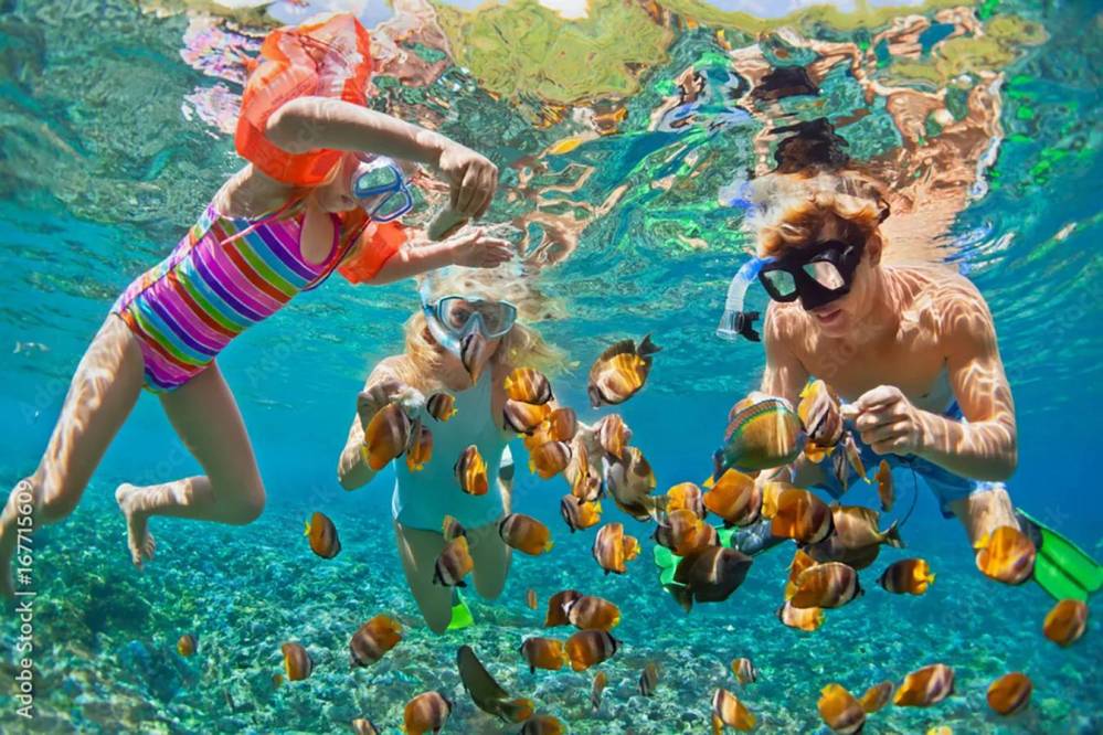 Three people snorkeling underwater with colorful fish.