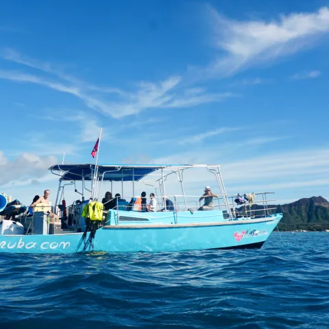 Blue tour boat with passengers on ocean, city and mountain in background.