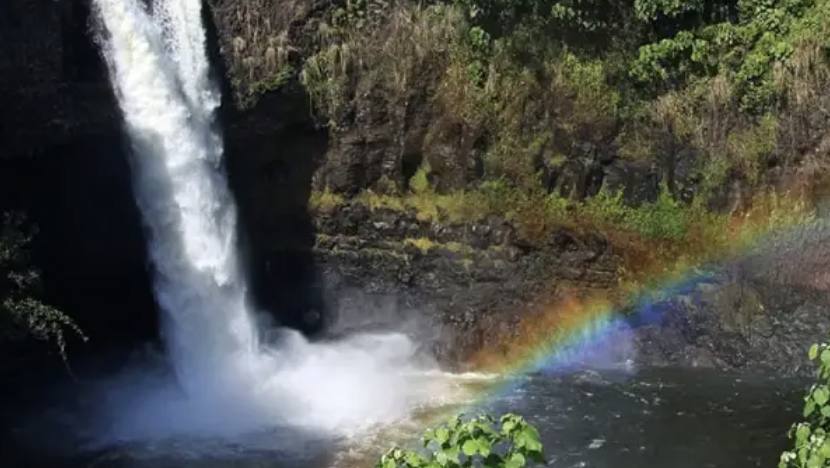 A Perfect Day in Hilo: Rainforest Walks, Waterfalls, and Local Markets