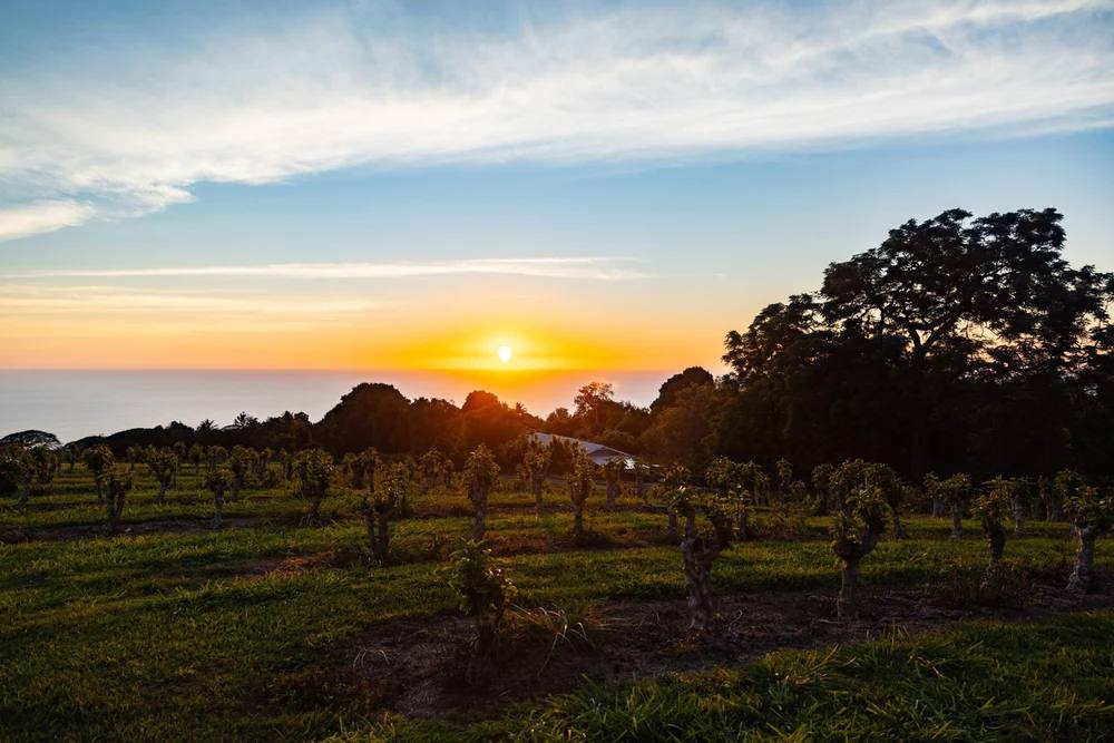 Key Farms and Tasting Rooms Worth Visiting