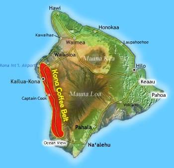 Coffee Country Day Trip: Exploring Kona’s Farms, Tasting Rooms, and Scenic Backroads